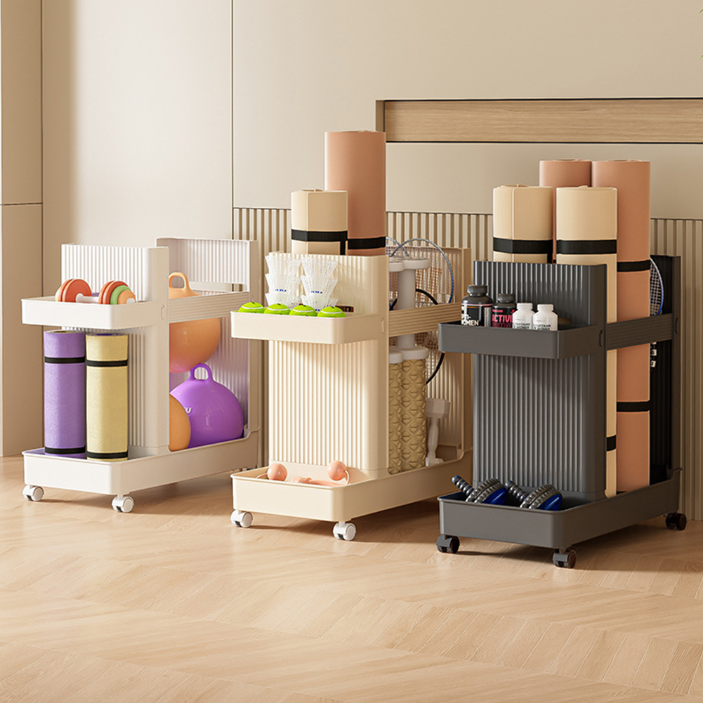 Gym Equipment Holder with Whee - Yoga Fitness Wheel ulasan dan harga