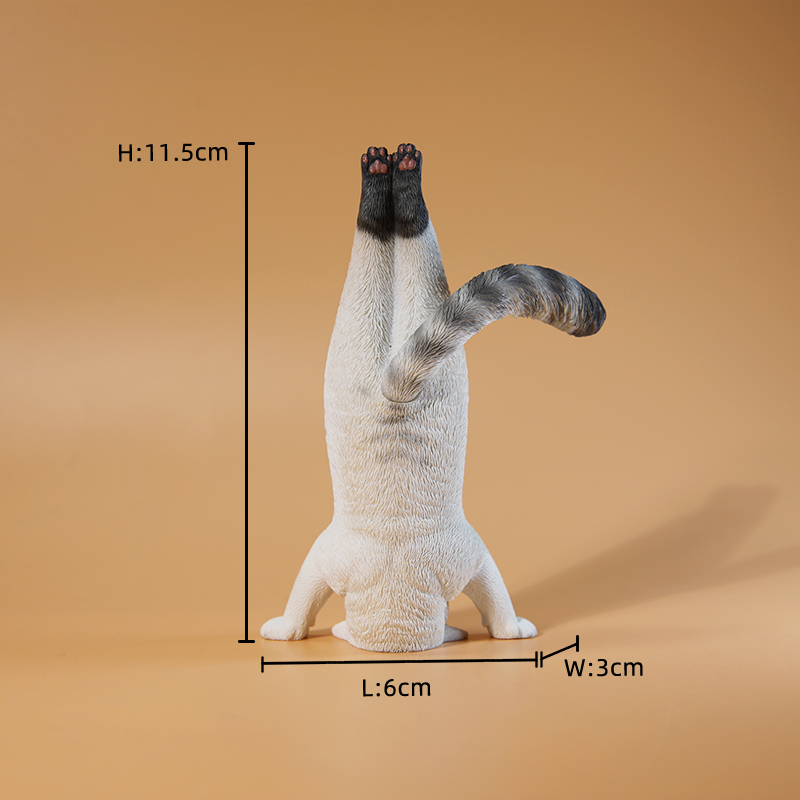 1/6 Scale Mini Simulated Fitne - Yoga Fitness Tva ulasan dan harga