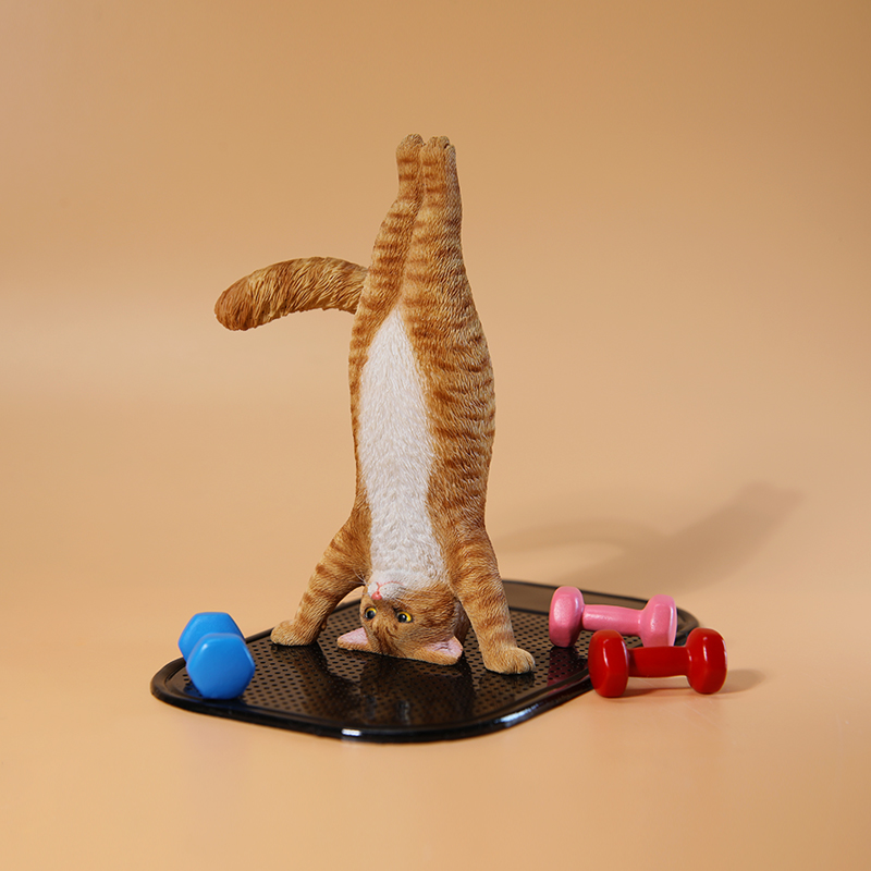 1/6 Scale Mini Simulated Fitne - Yoga Fitness Tva ulasan dan harga