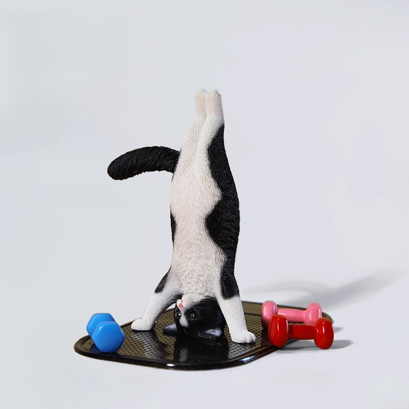 1/6 Scale Mini Simulated Fitne - Yoga Fitness Tva ulasan dan harga